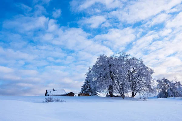 Пейзаж Зимнее Время Тюрингском Лесу Недалеко Шмидефельда Реннштайг Германия — стоковое фото