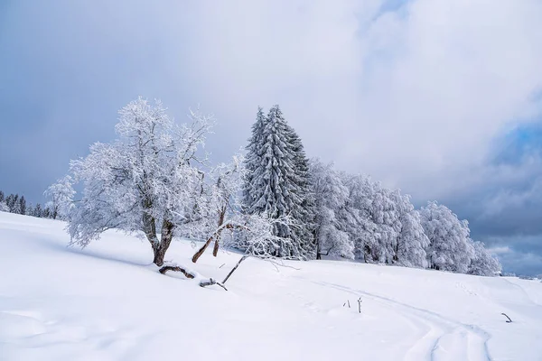 Paisagem Tempo Inverno Floresta Turíngia Perto Schmiedefeld Rennsteig Alemanha — Fotografia de Stock