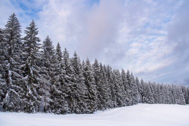 Schmiedefeld am Rennsteig, Almanya yakınlarındaki Thuringian Ormanında kışın manzara.