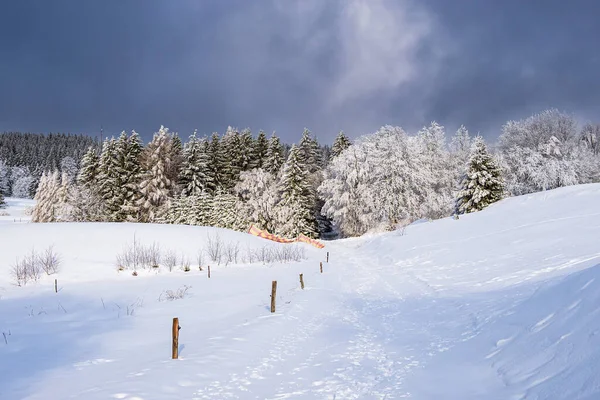 Paisagem Tempo Inverno Floresta Turíngia Perto Schmiedefeld Rennsteig Alemanha — Fotografia de Stock