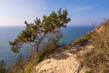 Almanya 'da Saklı Ada' daki bir uçuruma bakın.