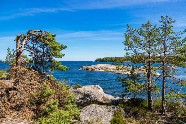 Landscape Rocks Trees Island Hasselo Sweden — ストック写真