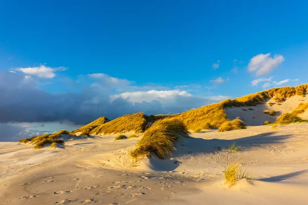 Paesaggio Tra Dune Sull Isola Del Mare Del Nord Amrum — Foto Stock