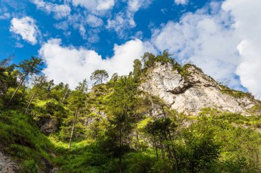Almanya 'nın Berchtesgaden Alplerinde Gorge Almbachklamm.