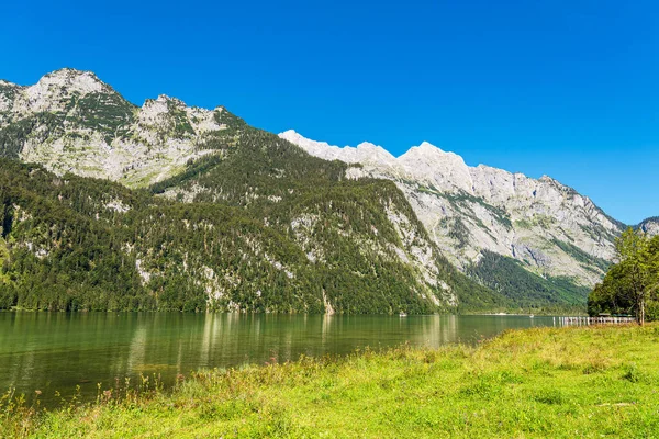 德国伯克特斯加登阿尔卑斯山中岩石和树木覆盖的科尼格斯湖 — 图库照片