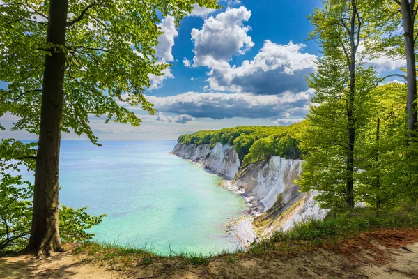 Acantilados Tiza Costa Del Mar Báltico Isla Ruegen Alemania Imagen De Stock