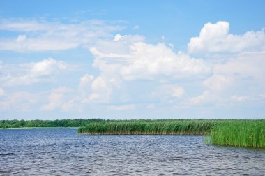 gökyüzü göl üzerinde kabarık bulutlar ile