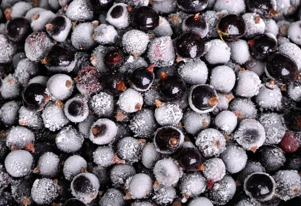 Heap of frozen black currant as background — Stock Photo, Image