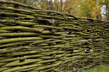 Ukrayna'da bir evin etrafında geleneksel Tiriz ve çit