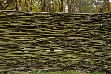 Ukrayna'da bir evin etrafında geleneksel Tiriz ve çit