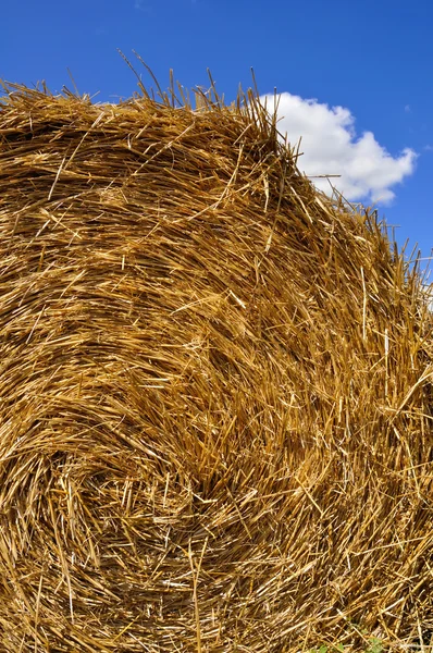 Yellow  haystack — Stock Photo, Image