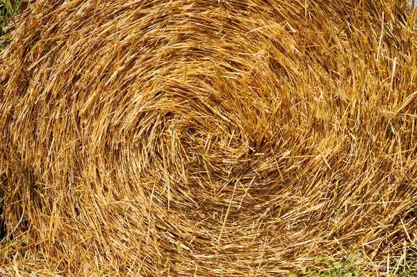 Spiral of yellow haystack — Stock Photo, Image