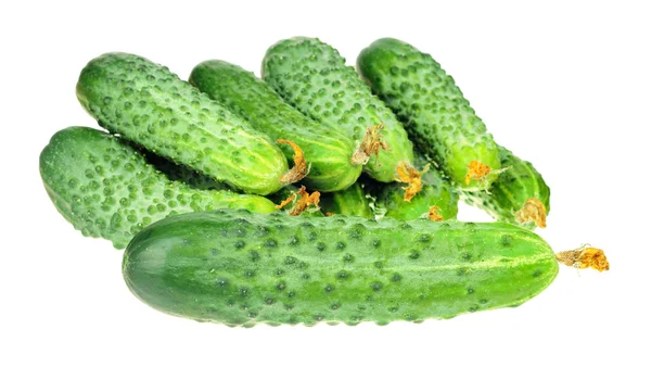 Pile of cucumbers with dry flowe isolated over white — Stock Photo, Image