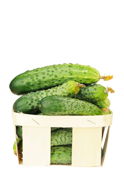 Stapel van komkommer in een mand van de fineer geïsoleerd — Stockfoto