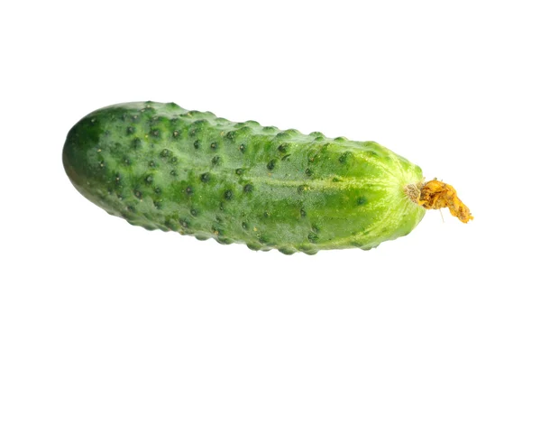 Fresh cucumber islated over white — Stock Photo, Image