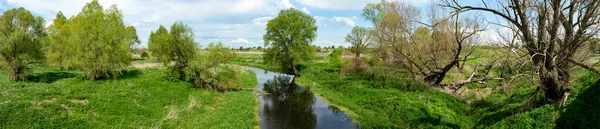 乌克兰全景全景 树木倒映在河水里 田野里长满了青草 — 图库照片