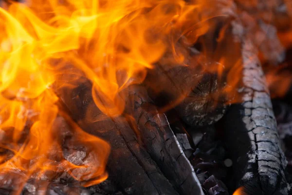 Ateşin sarı dilleri ahşap kütüklerin üzerinde dans ediyor.