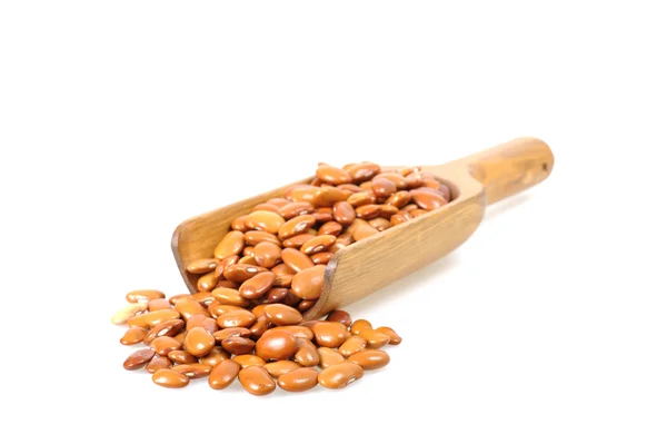 Brown Beans — Stock Photo, Image