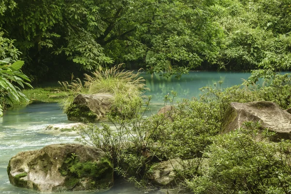 Beautiful Rio Celeste — Stock Photo, Image