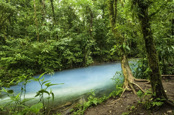 Aguas de Río Celeste —  Fotos de Stock