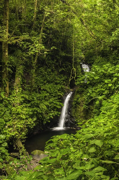 Monteverde Waterfall — Stock Photo, Image