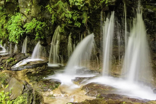 Los chorros vattenfall-costa rica — Stockfoto