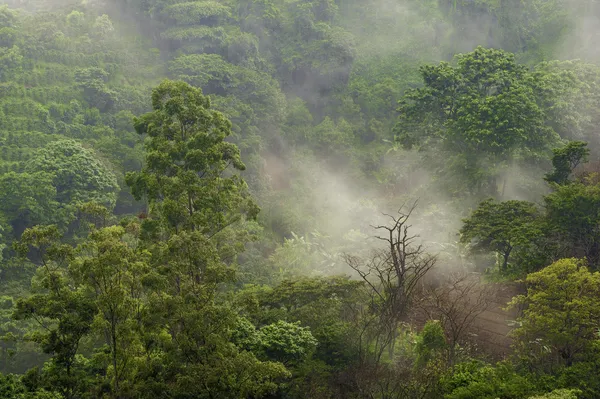 Temporada de lluvias —  Fotos de Stock