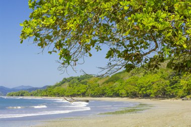 Playa manzanillo Kosta Rika