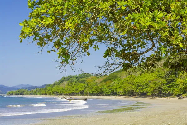 Playa manzanillo, costa rica — Foto de Stock