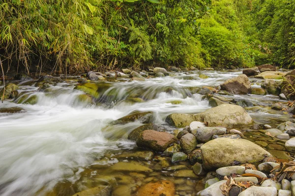 Rushing Mountain Stream — Stock Photo, Image