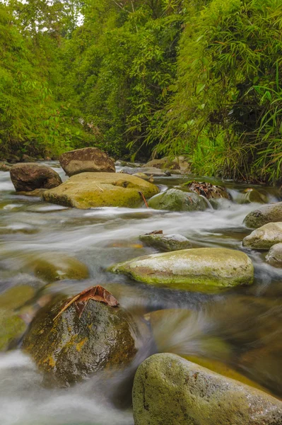 Arroyo de montaña rápido flujo — Foto de Stock