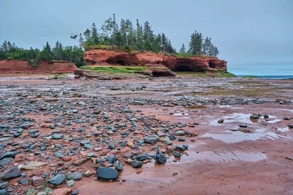 Surface Bay Fundy Seen Low Tide Burntcoat Head Park Nova Rechtenvrije Stockfoto's