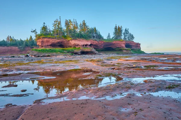 Sea stack and ocean floorlit by the rising sun during low tide at Burntcoat Head Park on the Bay of Fundy in Nova Scotia.