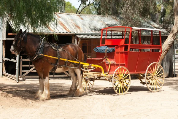 Stage Coach and Clydesdale Draught Horse — Stock Image Stage Coach and Clydesdale Draught Horse Stock Photo