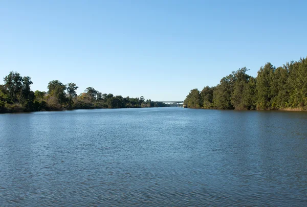 Nepean Nehri — Stok fotoğraf