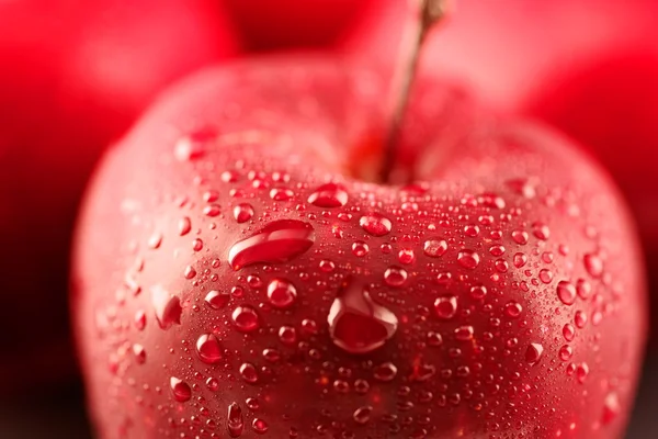 Manzana roja Imagen de archivo