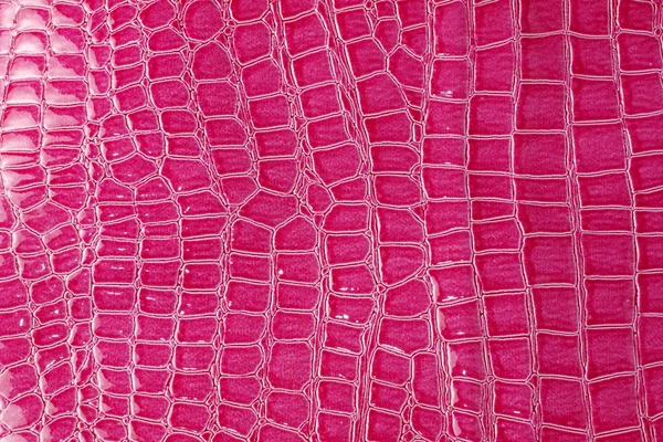 Розовый аллигатор Лицензионные Стоковые Фото