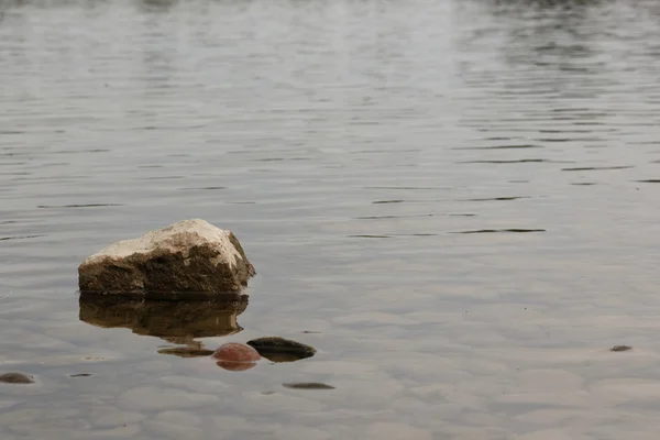 강에 있는 돌 — 스톡 사진