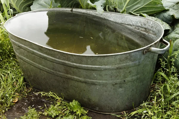 Groene Pasen eieren op een groene weide — Stockfoto