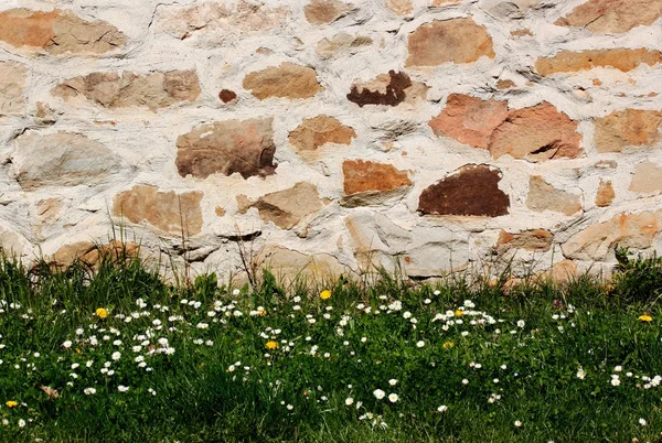 Kamenná zeď s trávou na dně. — Stock fotografie