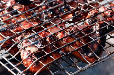 fırında tavuk eti yemek fırında ızgara