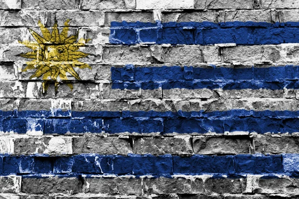 Steagul Uruguayului — Fotografie, imagine de stoc