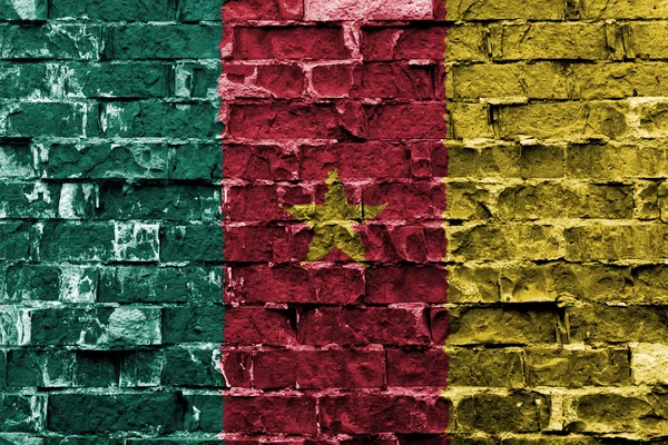 Flag of Cameroon — Stockfoto