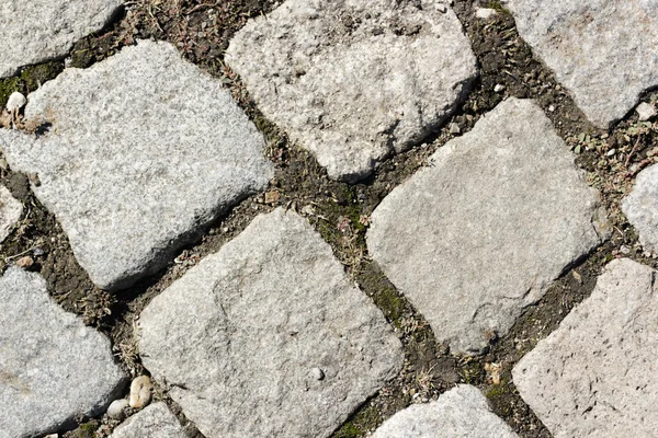 Stone paving cluseup — Stock Photo, Image