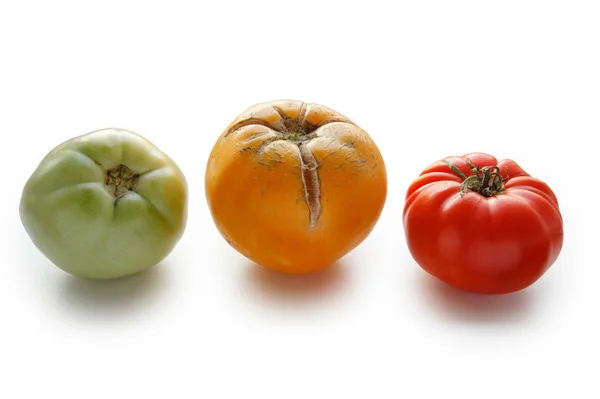 Drie tomaten rood groen en geel op witte achtergrond — Stockfoto