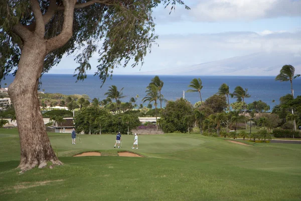 Golf course — Stock Photo, Image