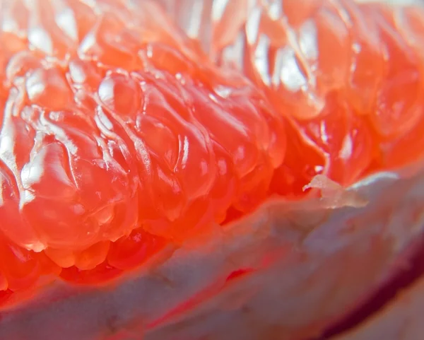 Grapefruit — Stock Photo, Image