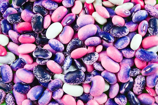 Multi gekleurde string bean — Stockfoto