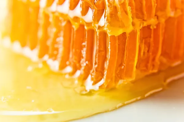 Sweet honeycomb with honey — Stock Photo, Image