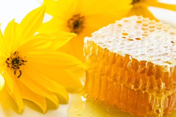 Söt honeycomb med honung — Stockfoto